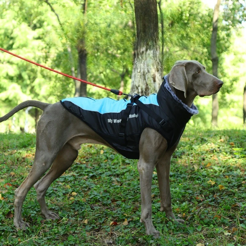 chaqueta-acolchada-de-invierno-para-perro-con-capucha-de-piel-abrigo-reflectante-grueso-y-resistente-al-viento-ropa-calida-para-exteriores-para-perros-medianos-y-grandes