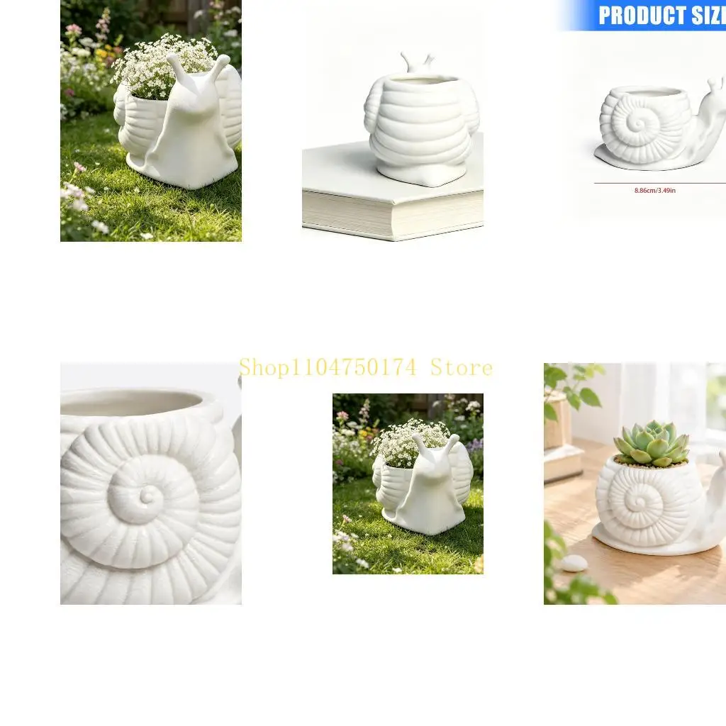 Raised-Shell Snail Plant Pot Lovely for Desk, Shelf, and Windowsill Displays Top Sale