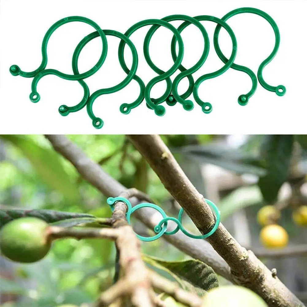 

50/100 Pieces Of Gardening 8-shaped Buckle Vine Binding Reusable Fixed Stem Garden Plant Bracket Tool Garden Decoration