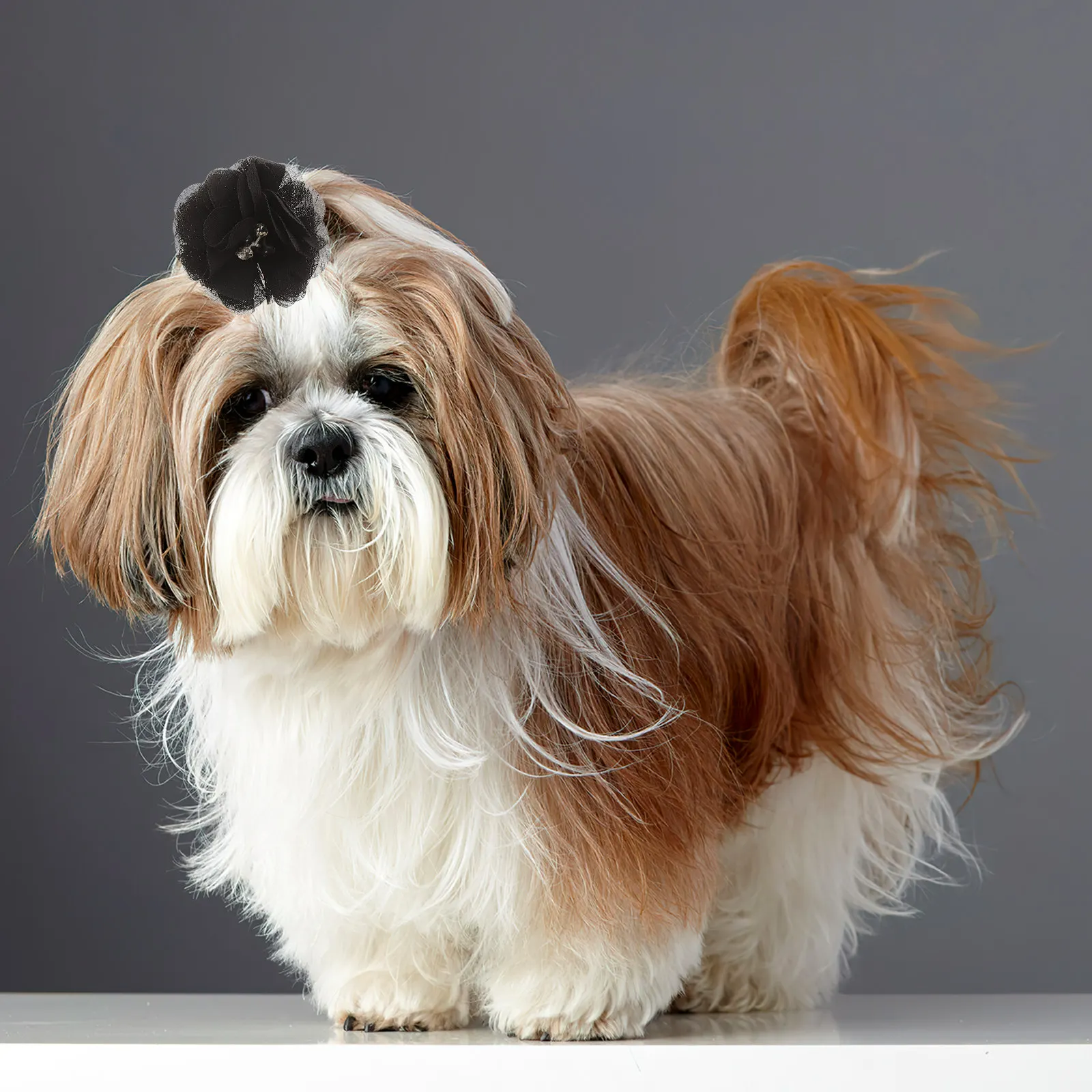 

20Pcs Pet Supply Cute Lovely Cats Dogs Hairpins Grooming Headwear Accessories for Daily Use and Parties Pet Headdress