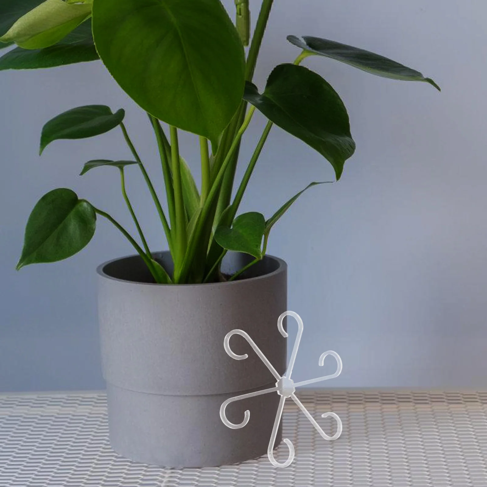 

4Pcs Plant Stem Support Climbing Houseplant Stakes Plastic Lightweight Reusable Indoor Outdoor Climbing Vine Support Clips