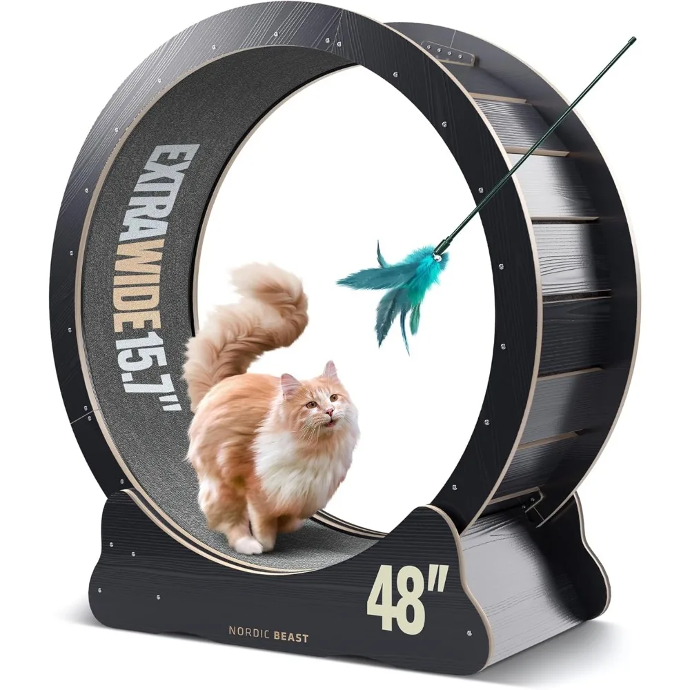 

48'' Cat Exercise Wheel - Large Indoor Cat Treadmill - Paw & Claw Friendly, Silent, Sturdy, Easy Assembly - for Cats