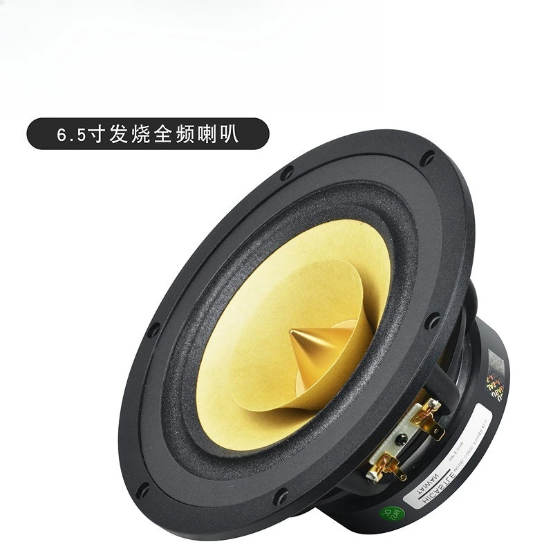 6.5 Inch Full-Range Speaker 92dB High Sensitivity for DIY HiFi Audio