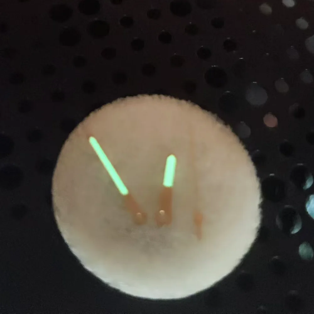 إكسسوارات الساعة حركة كوارتز عقارب لحركة VX12 VX32 VX43 ساعة يد مضيئة للرجال، دقائق وثلاثة عقارب