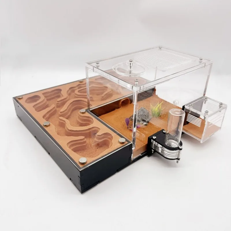 Creative Ant Farm Concrete Children's Ant Nest with Drinking Bowl Moisturizing Ants Ecological Box Ants Breeding Observation Box