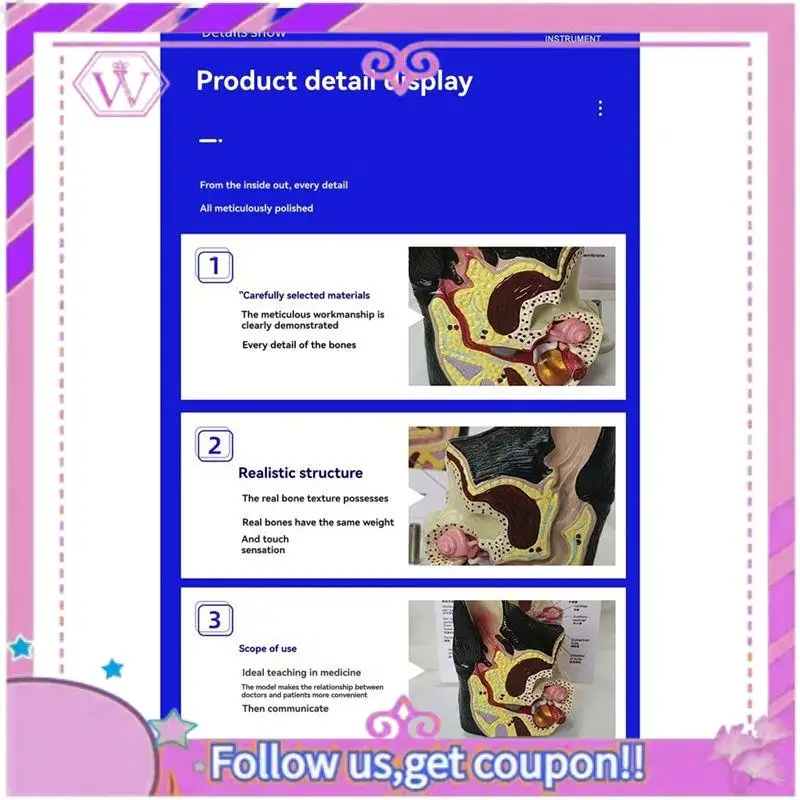 

Пособие по исследованию собак, поражение ушей собаки, анатомическая модель животного, инструмент для обучения ветеринарной науки