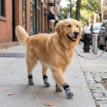 Dog Anti-Slip Socks 2