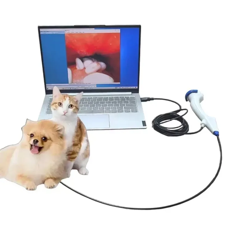 New 2025 Customized Durable Hospital Medical Portable Video Bronchoscope Veterinary Endoscope