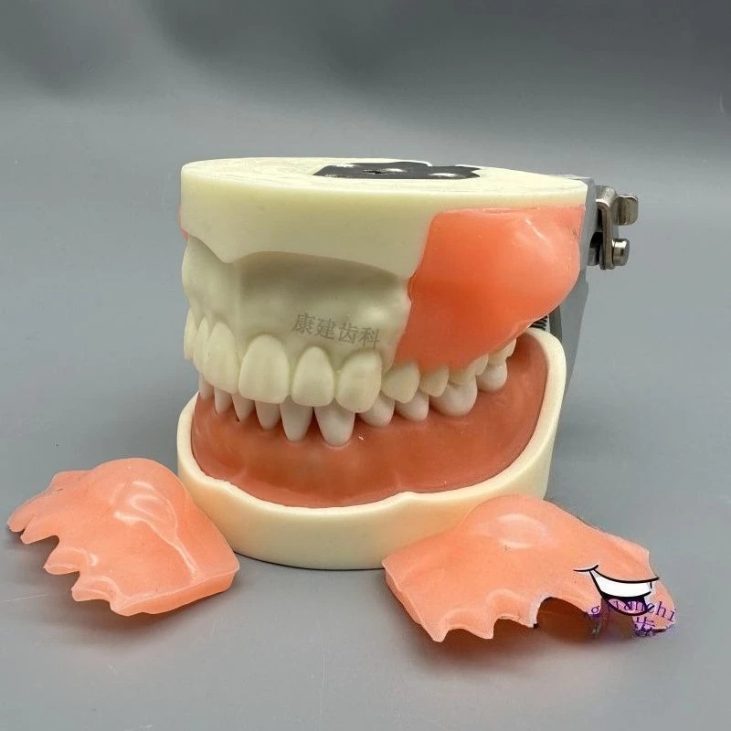 Lab Abscess Model, Abscess Incision, Drainage, Bilateral Mass Replaceable Exercises, Oral Teaching Tools s