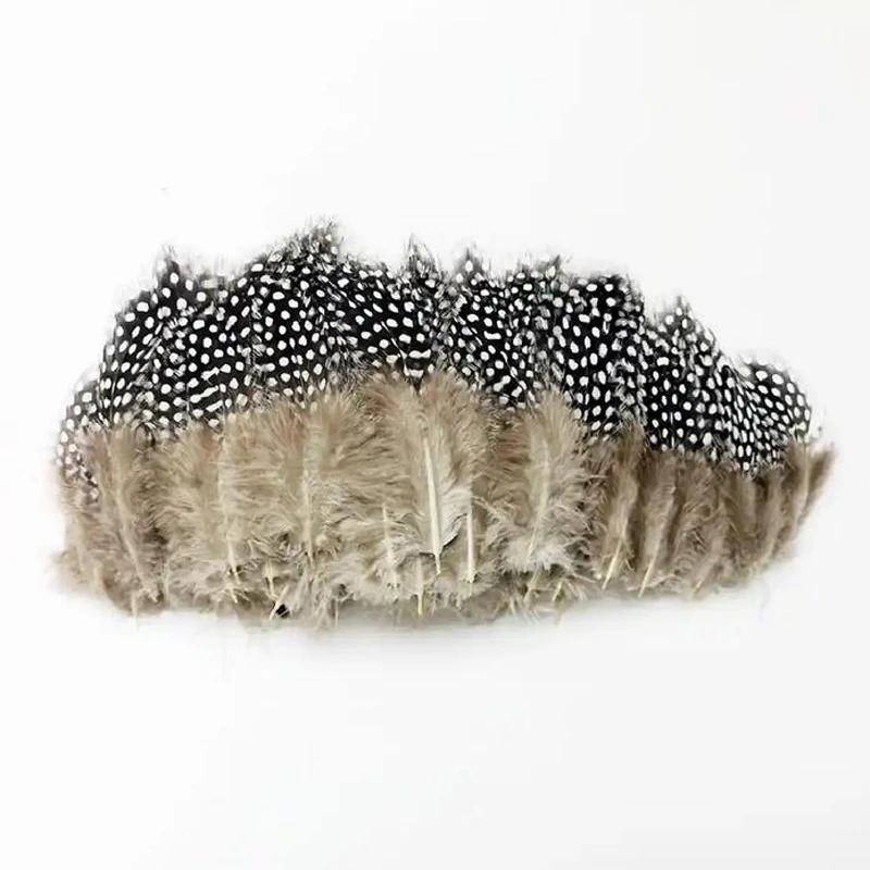 200/500/1000 Pièces Plumes de Pintade Naturelles Noires et Blanches de 6-12 cm, Plumes à Gros Points pour Artisanat DIY