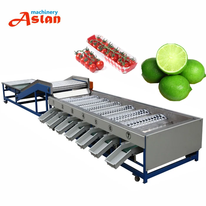 Garlic Round Onion Sorting Machine Potato Onion Grading Size Grader Machine