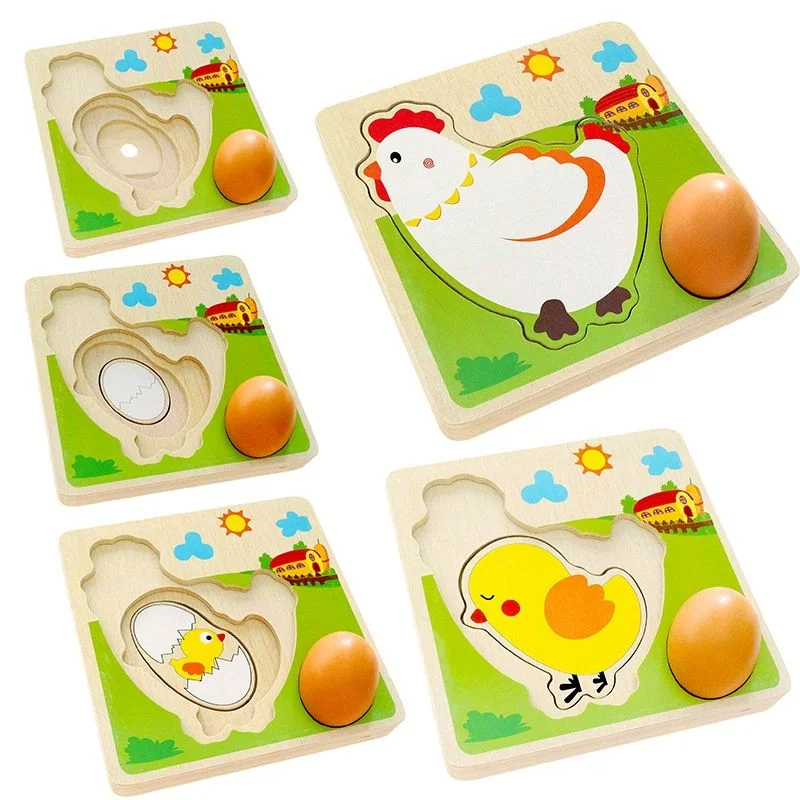 Montessori Educational Toy Wood Puzzle for Kids Life Cycle of Chicken w/ Egg Early Learning Resources Hand-Eye Coordination Game