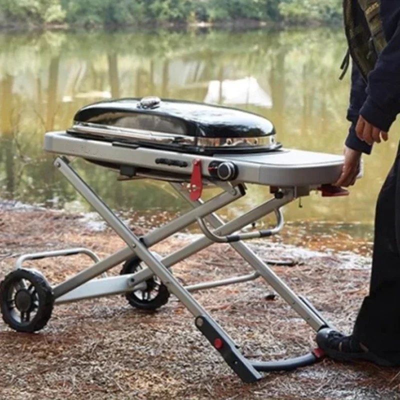 

Outdoor Gas Grill Portable Grill for Home Patio Villa r