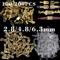 Conjunto de Conectores de Fio Elétrico, Fêmea e Masculino Crimp, Conector Terminal, Latão Dourado, Prata, Altifalante de Carro, 2,8mm, 4,8mm, 6,3mm, 100 Pcs, 200Pcs