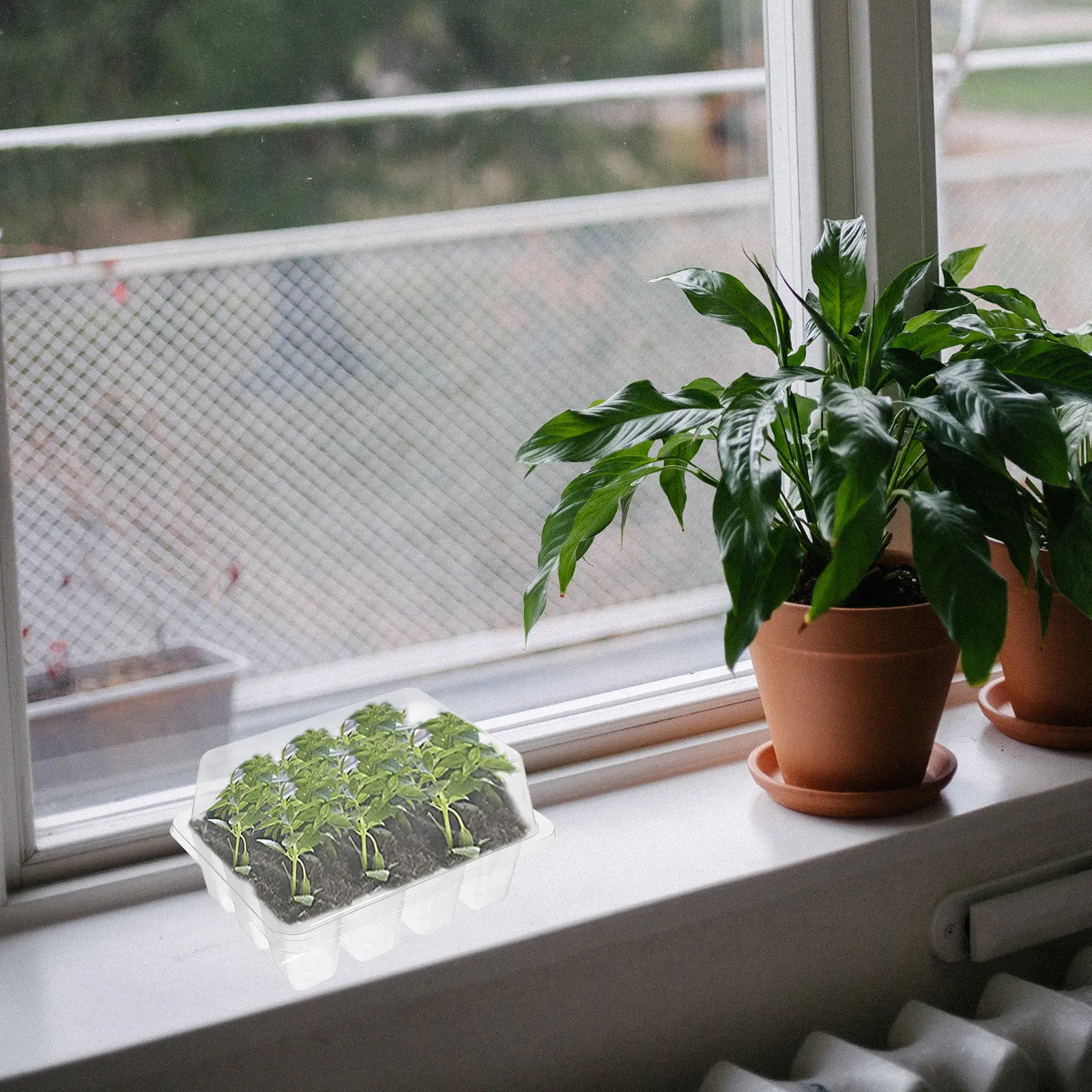 5Pcs Plastic Nursery Tray 12-Cell Planting Box Seed Starter Germination Tray Garden Seedling Planter Pot Hydroponic Grower