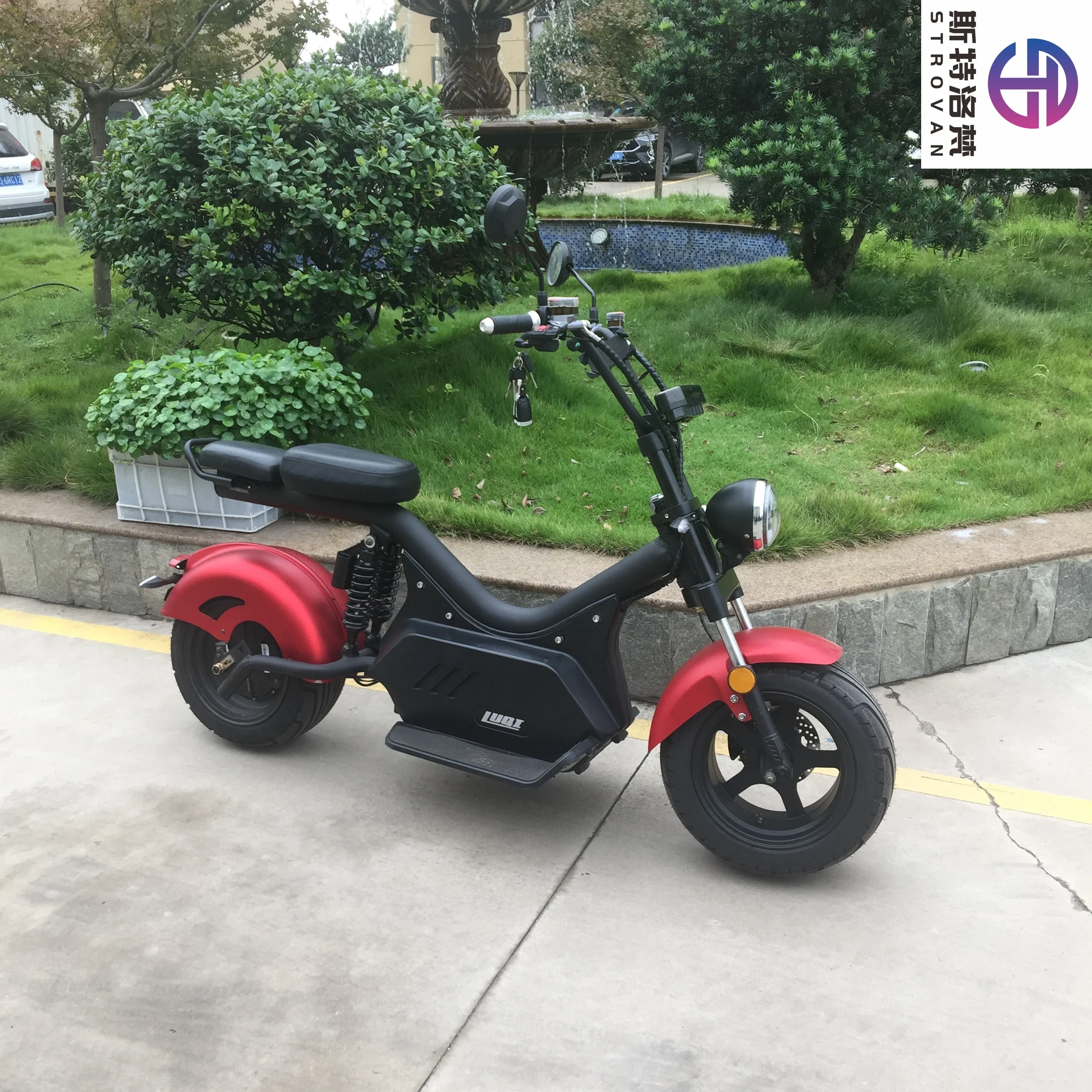 2000W 60V 20AH-45AH Citycoco Electric Scooter, Double Seat 2-Wheel US Popular Super Quality
