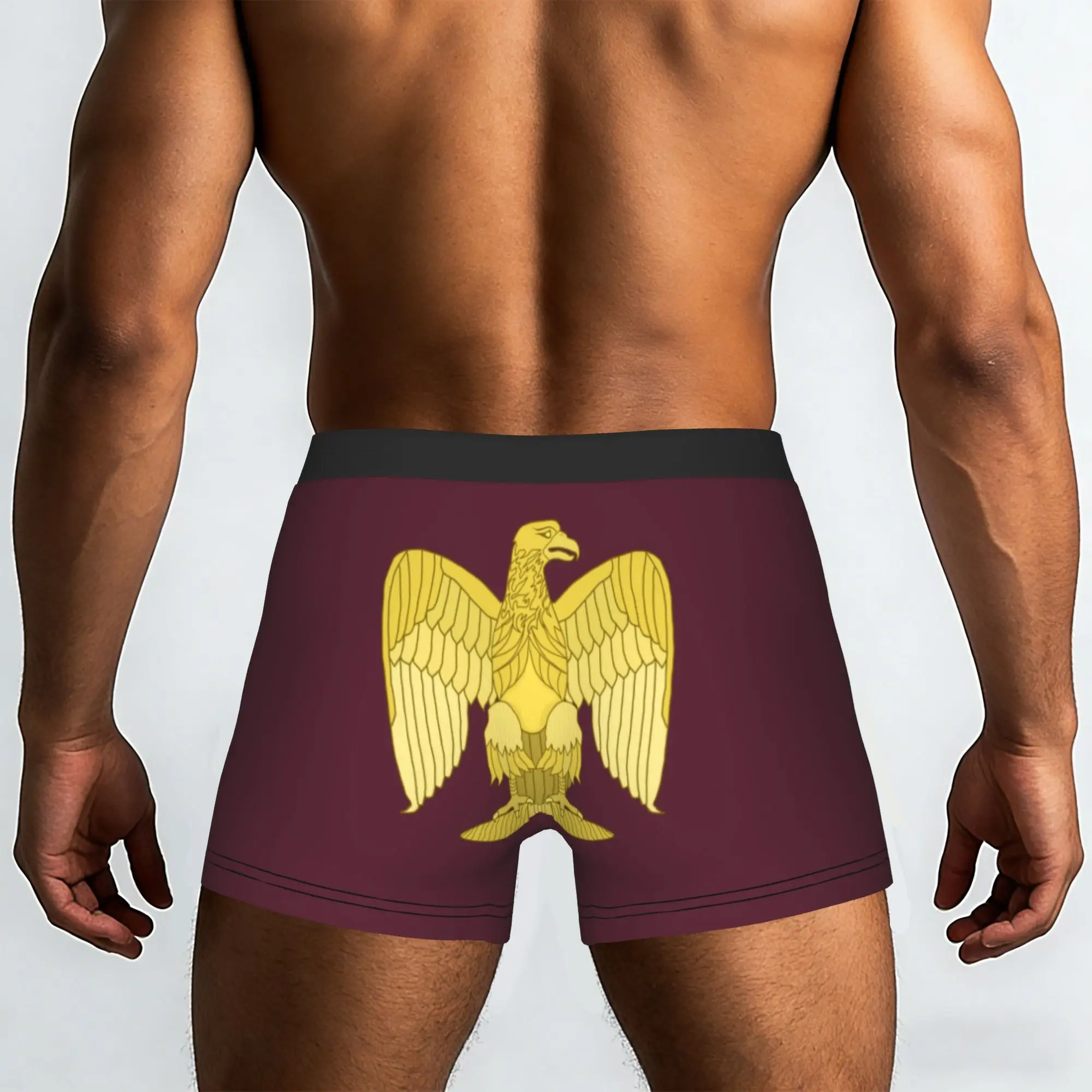 Custom Napoleon Bonaparte Eagle Boxers Shorts Mens France French Empire Briefs Underwear Funny Underpants
