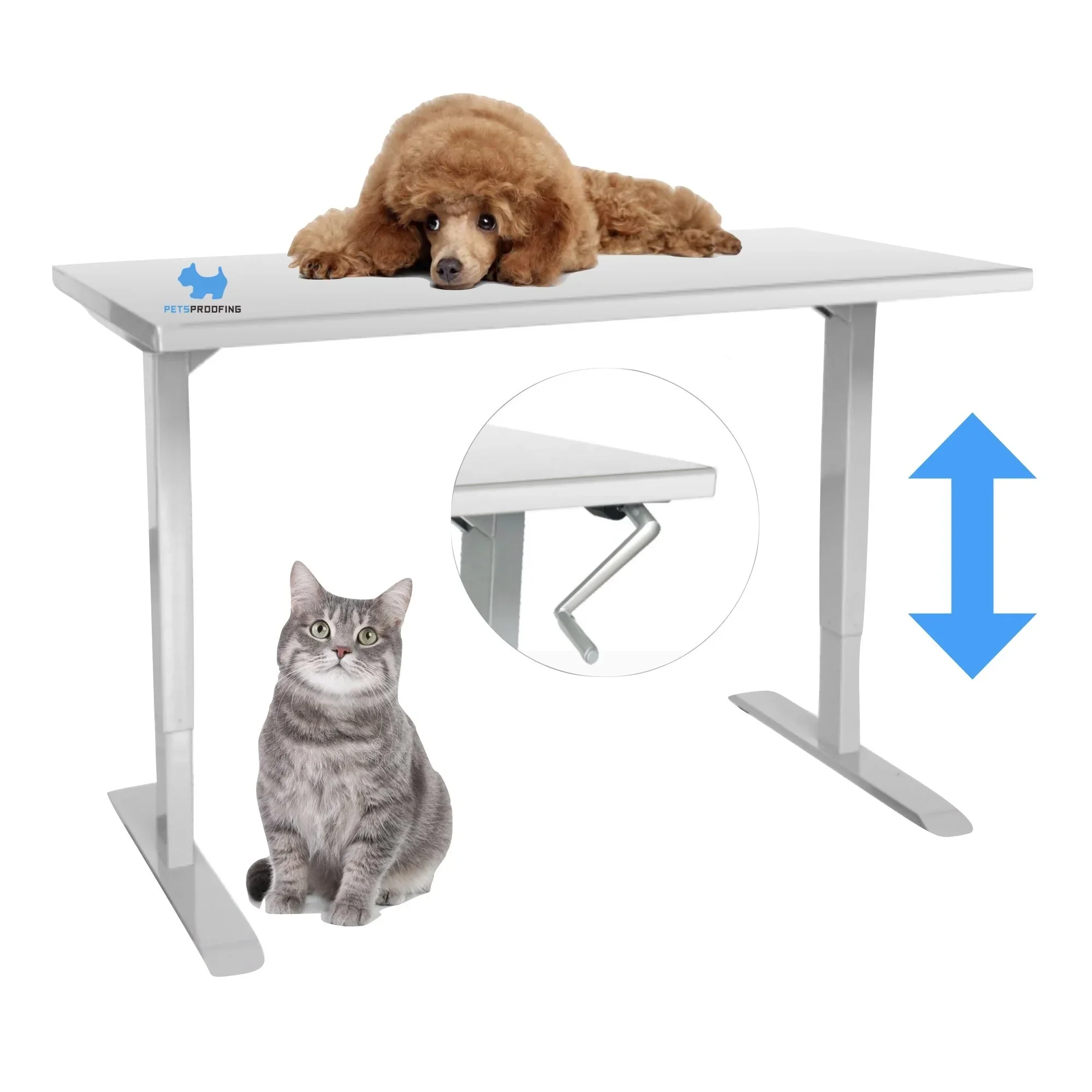 

Pet protection pet hospital is easy to use. Other veterinary instruments are stainless steel mechanical pet dog operating table.