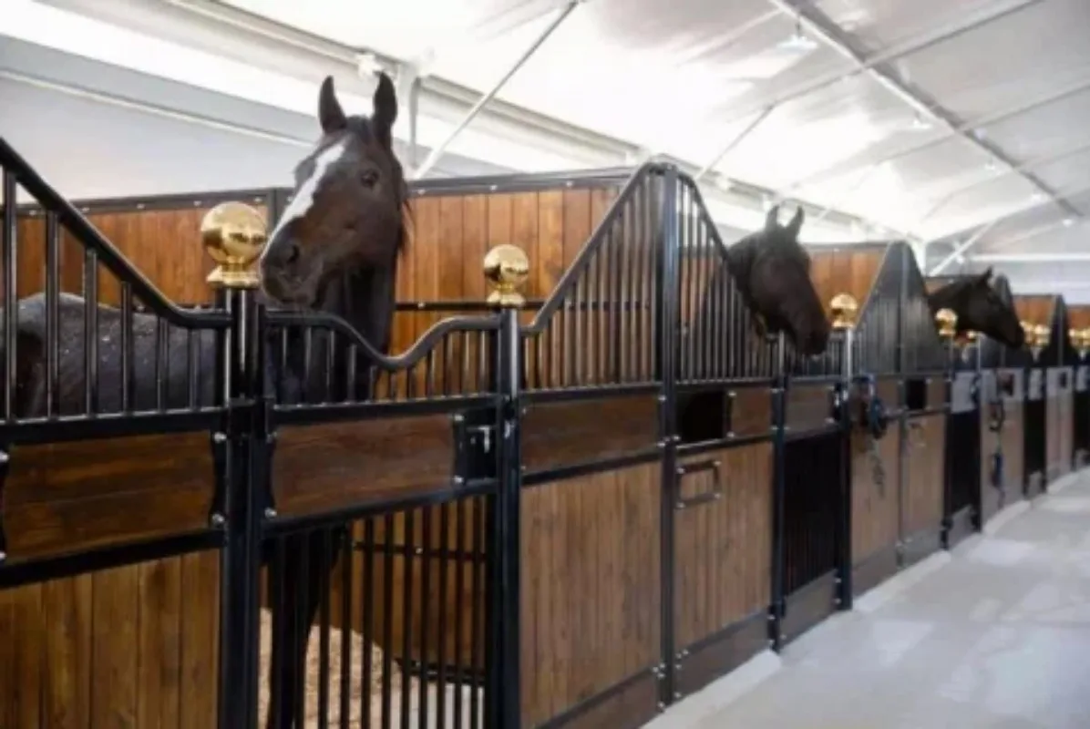 High Quality and Professional Customized Design Wooden or Steel Horse Stable Horse Stall Horse Box