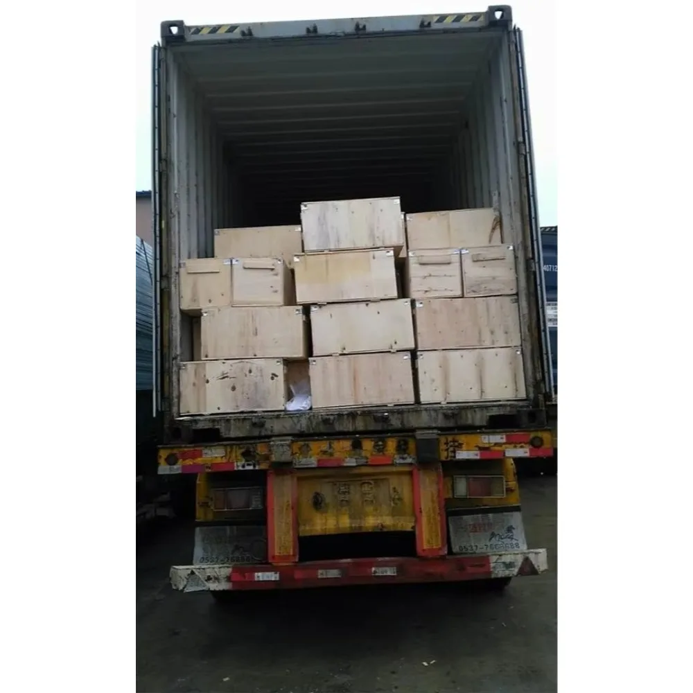 سعر الودائع ZLP630 500 800 سقالة كهربائية للعمليات على ارتفاعات عالية بناء الجدار الخارجي وما إلى ذلك #6