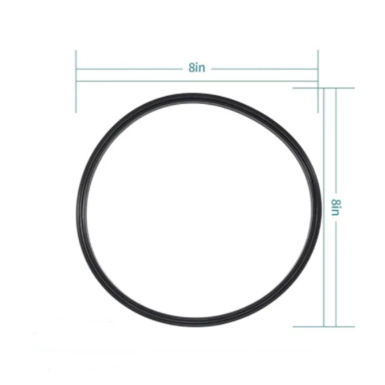 For Zodiac Jandy JEP Pool Pump Lid Seal Gasket and O Ring R0446200