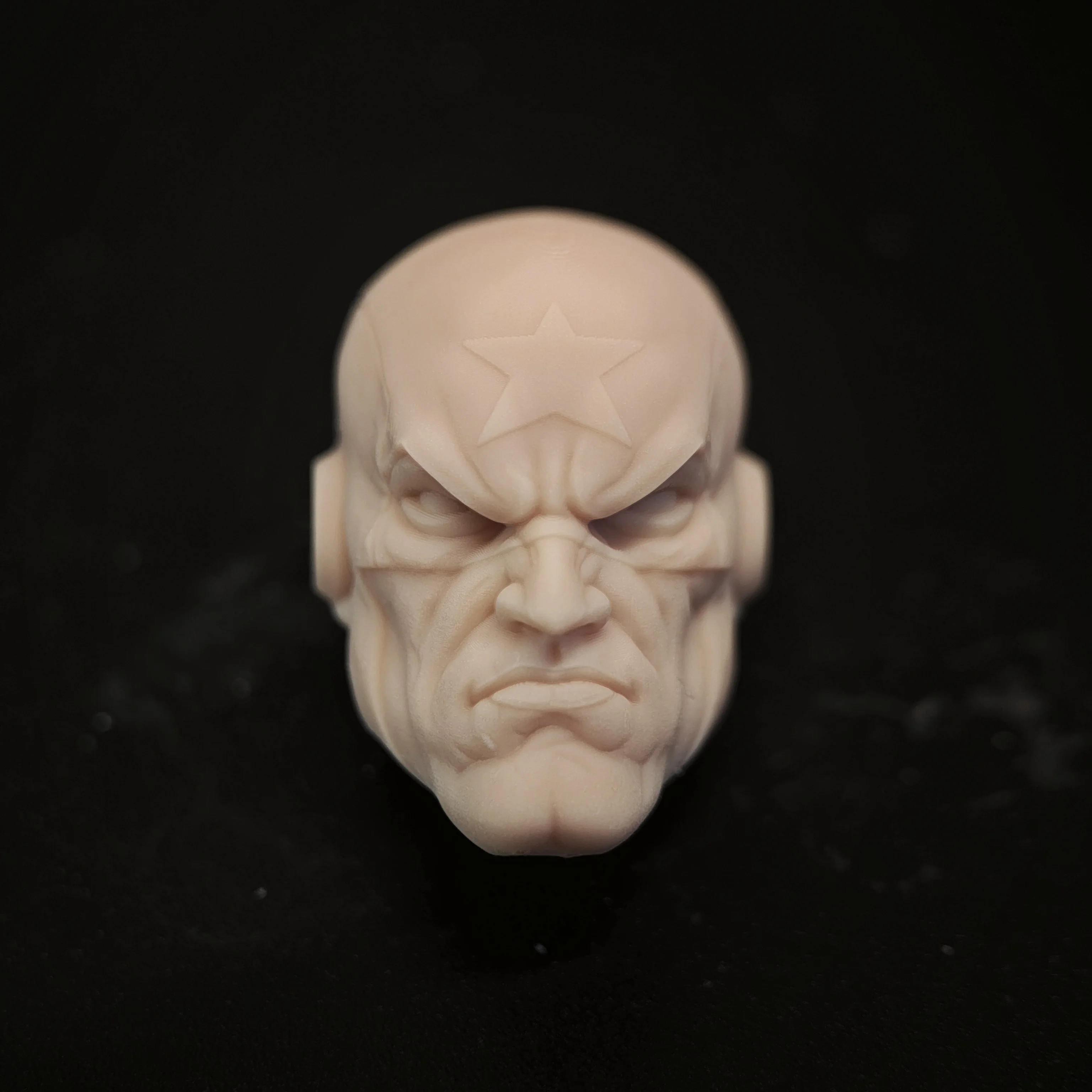 

HL1641 DIY Customized 1/18 1/12 1/10 Scale Frank A Unpainted Head Sculpt for 3.75" 6" 7" Figure SHF ML Mafex Mez NECA Mcf