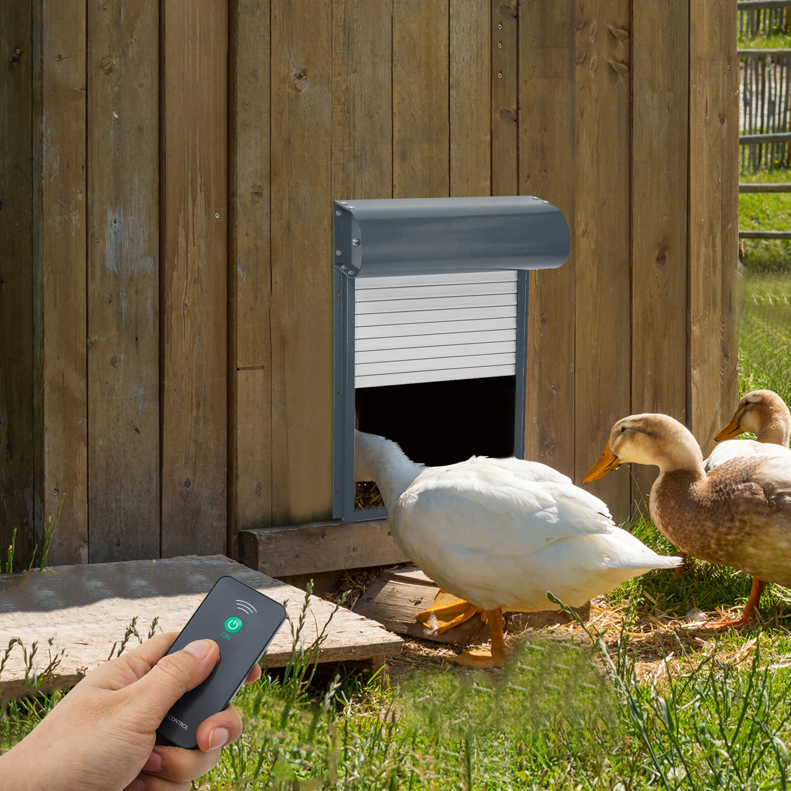 باب حظيرة الدجاج الأوتوماتيكي الذي يعمل بالطاقة الشمسية مع جهاز تحكم عن بعد ومؤقت قابل للتعديل IP67 باب دجاج مقاوم للماء ومضاد للقرصة