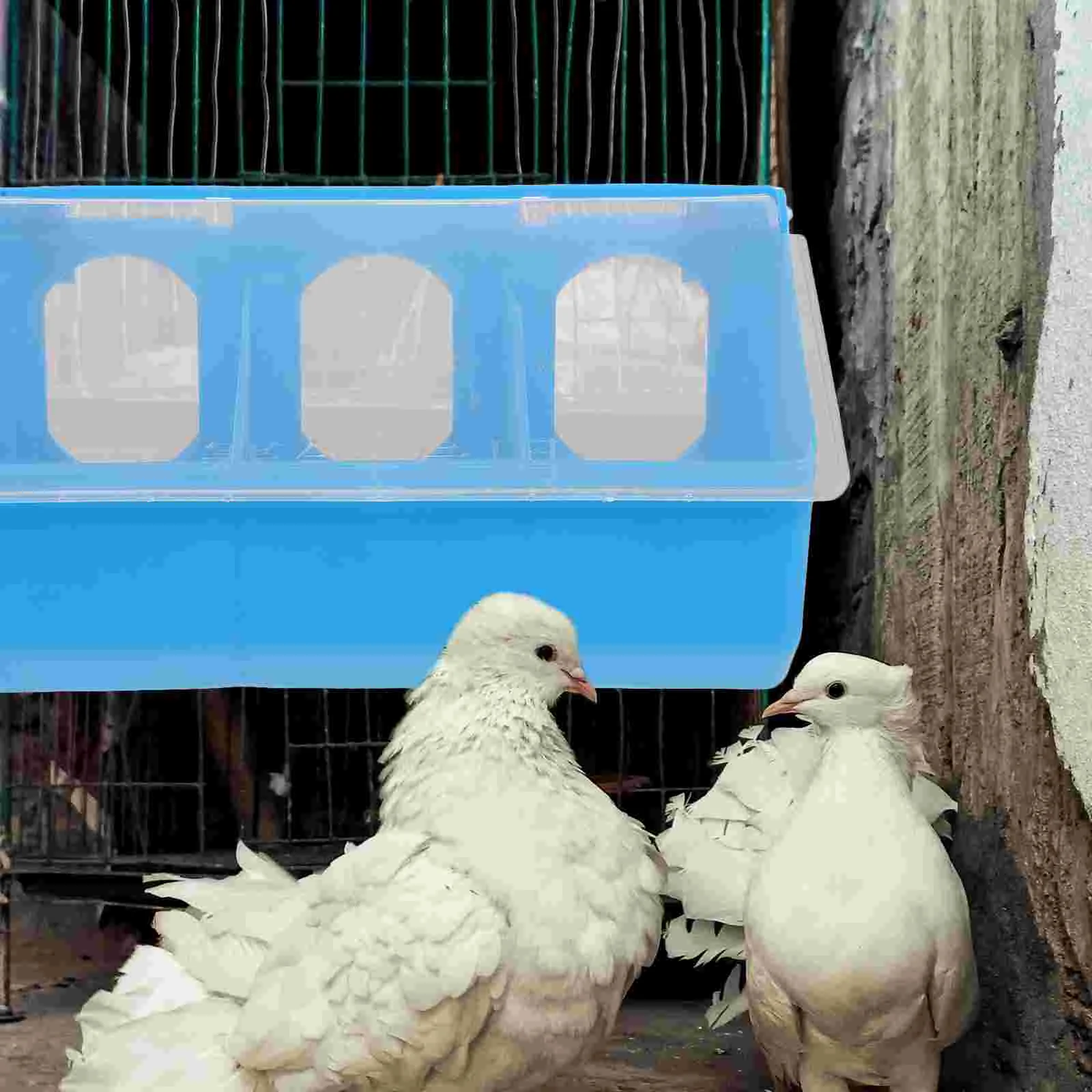 1 PCS Pigeon Box Multi functional Feeding Station Plastic Anti spatter Wear resistant Bite resistant for Cage