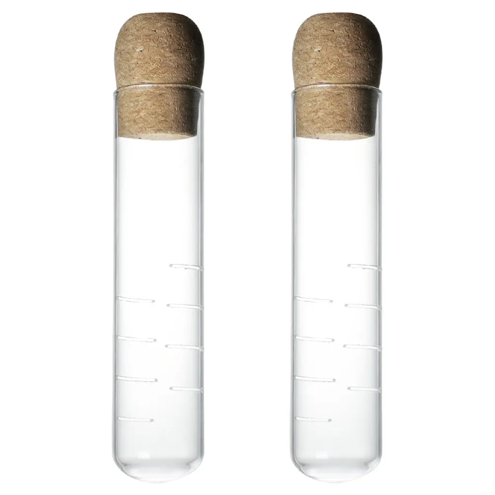 2Pcs Clear Glass Tea Infuser Tube Cork Stopper Messfree Loose Leaf Tea Steeper Visual Brewing Tool for Mugs Cups Teapots