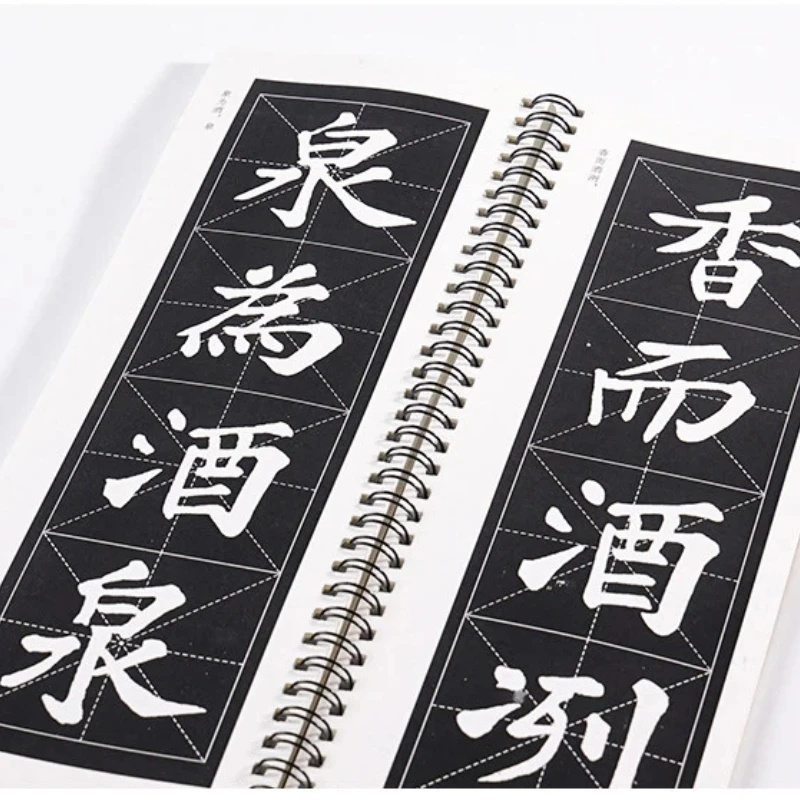 Calligraphy Copybook Su Shi Regular Script Ode to the Drunkard's Pavilion Enlarge Chinese Characters Close-range Copying Cards