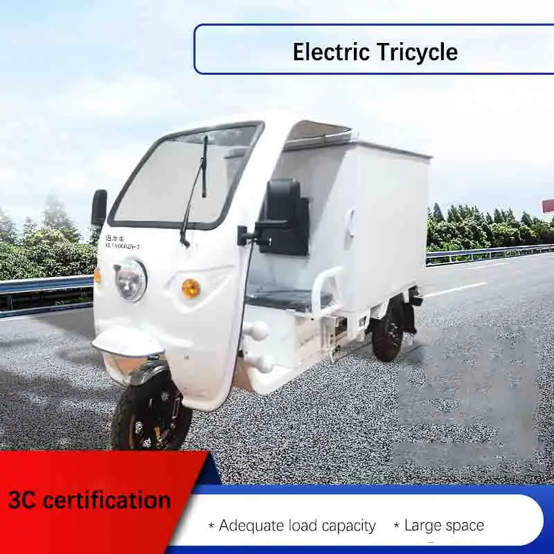 Hot Sale 800W Van Enclosed Cargo Tricycle Cargo Box Tricycle Use for Fast Delivery and Shopping