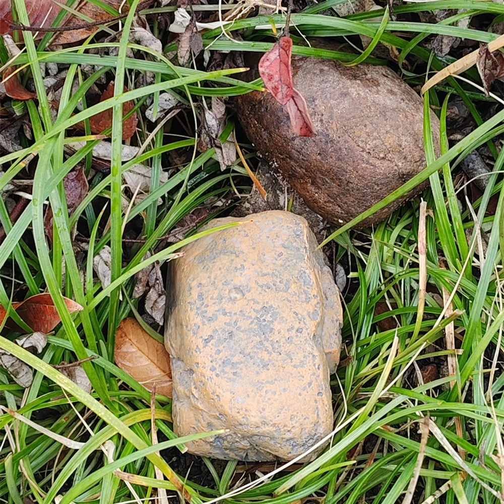 Caja de seguridad con llave oculta de piedra de simulación de resina, caja de soporte de repuesto segura para llave de piedra antipérdida, caja secreta para el hogar, coche y camión