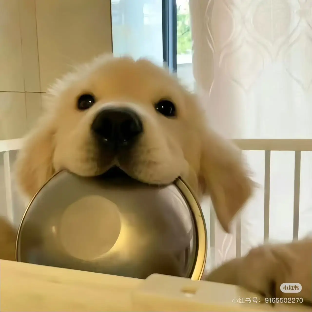 

НОВЫЙ роликовый аппарат высокой мощности, формирующая терапия, электромагнитная стимуляция для похудения, потеря веса мышц, 6500 Вт, 200 Гц