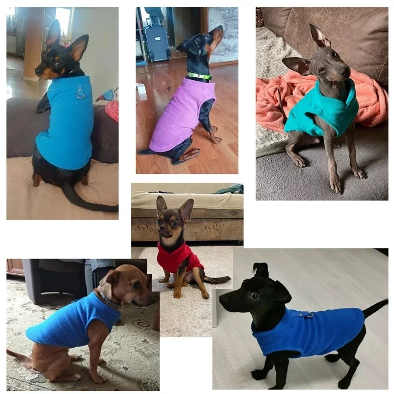Hundebekleidung, Wolljacken, Chihuahua-Kleidung & Zubehör, Kostüme für Hunde, Bulldoggen, Haus & Garten, Frankreich, Wärmeweste für Welpen – Detail 2
