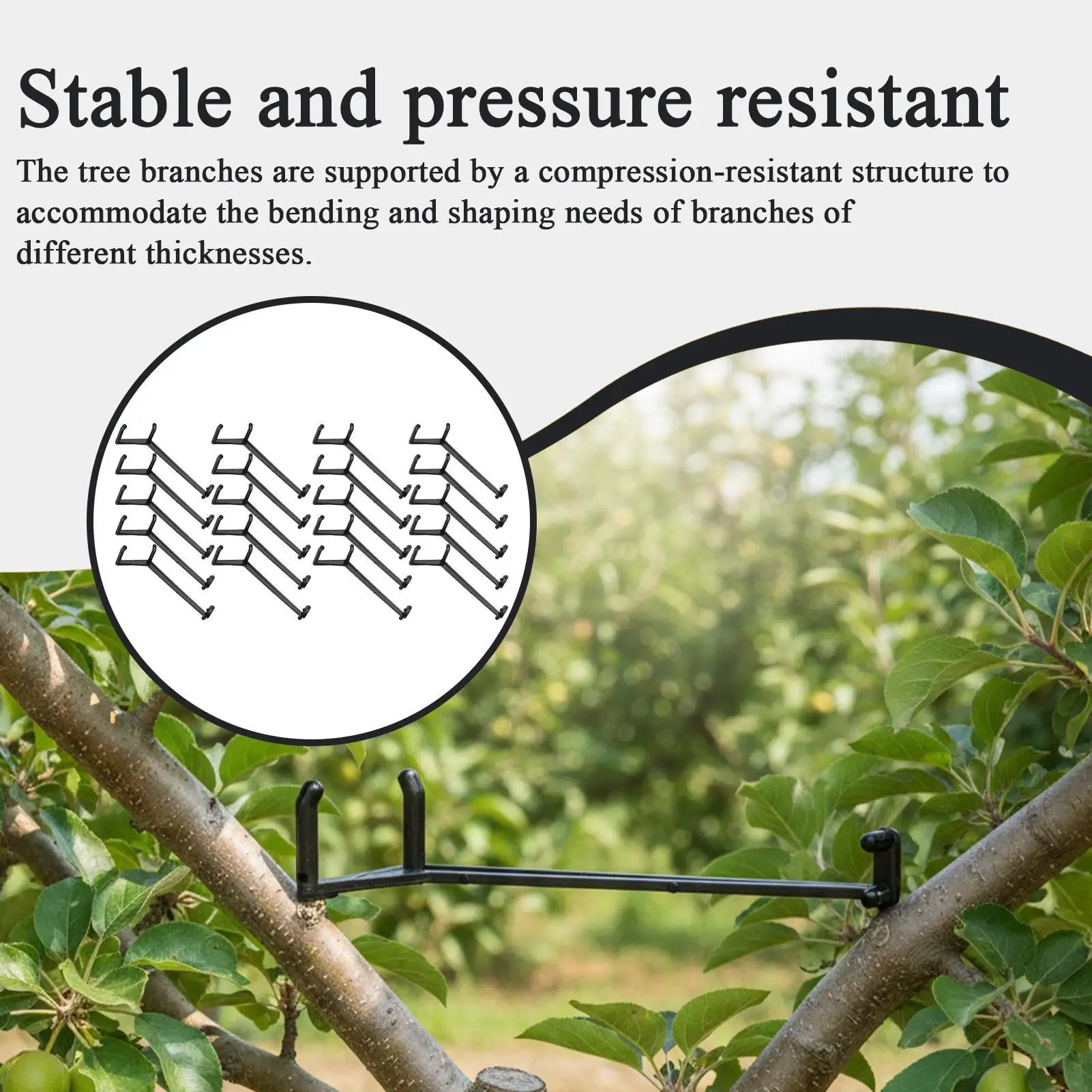 Tree Branch Puller 20 Pieces Adjustable Limb Straightening Tool Fruit Tree Branch Spreaders For Repair Staking Leaning Gardening