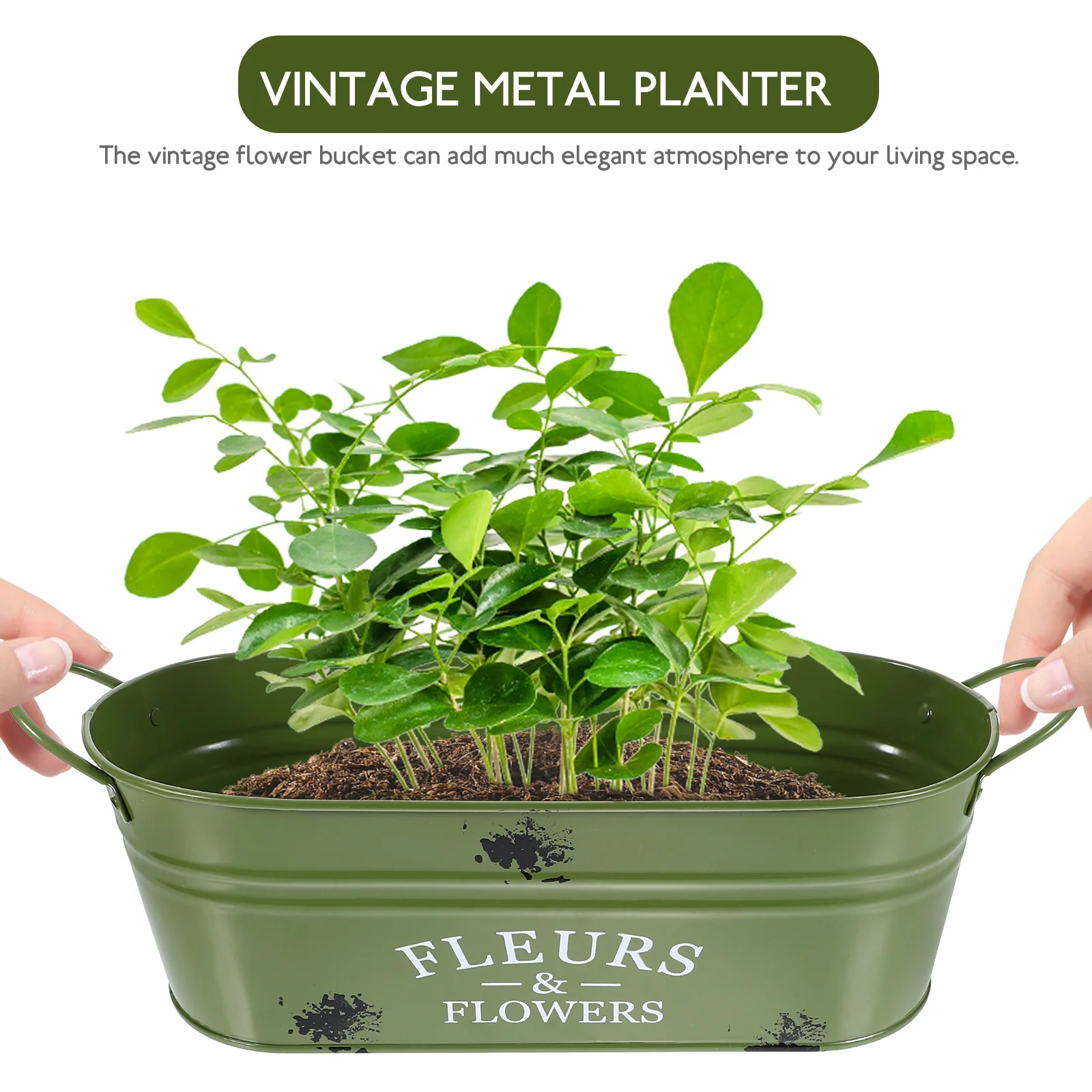 Galvanized Raised Garden Bed Vintage Planter Pot Flowerpot Pots Iron Multifunction Tin Buckets Retro Office