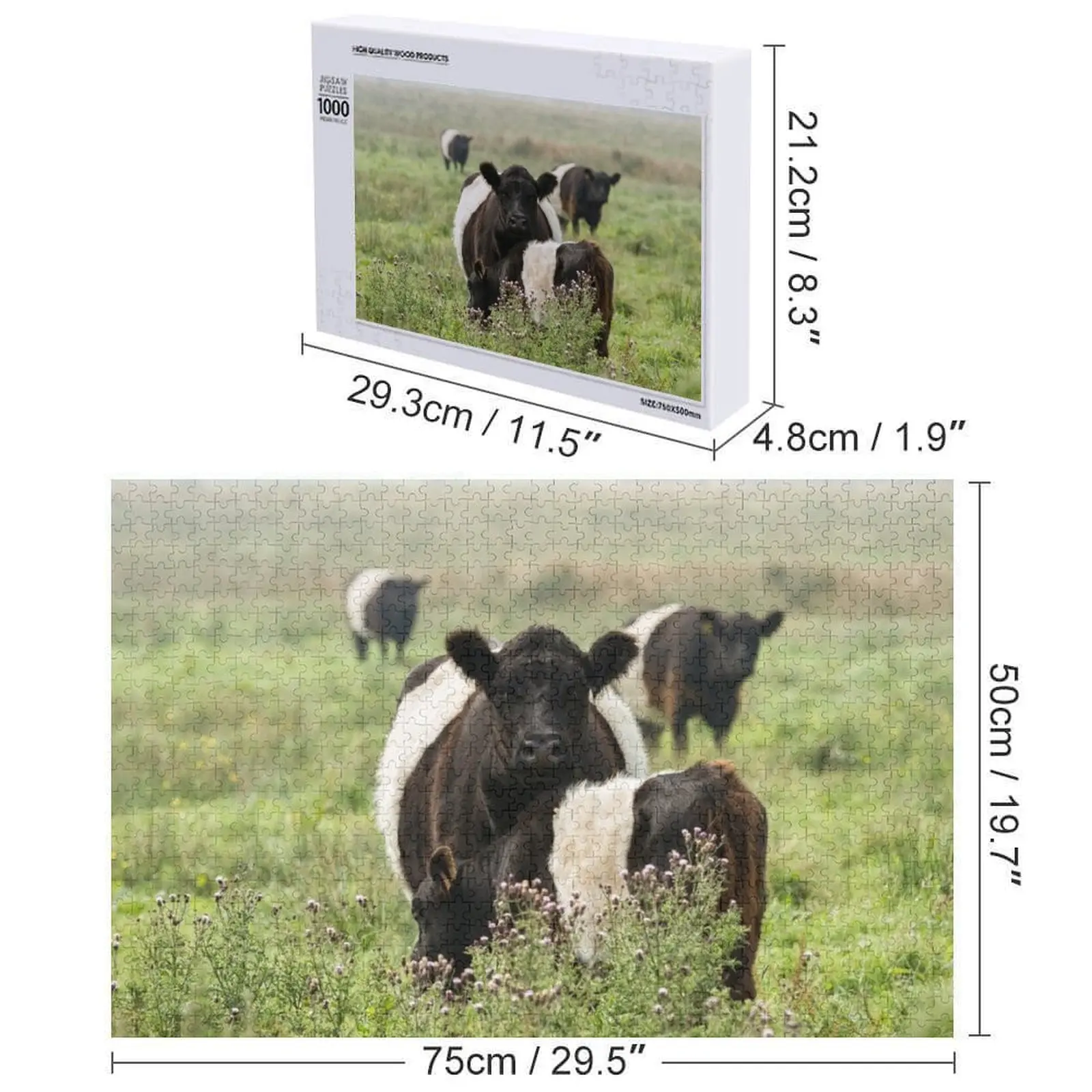 벨트드 갈로웨이 소들 직소 퍼즐 성인용 나무 직소 퍼즐 사진 퍼즐이 있는 애니메이션