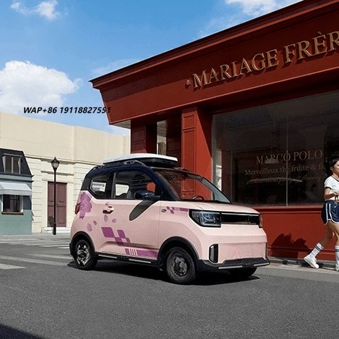 Small Electric Car pink Ev Vehicles Car Small Mini Electric Two Seat Car air Conditioner