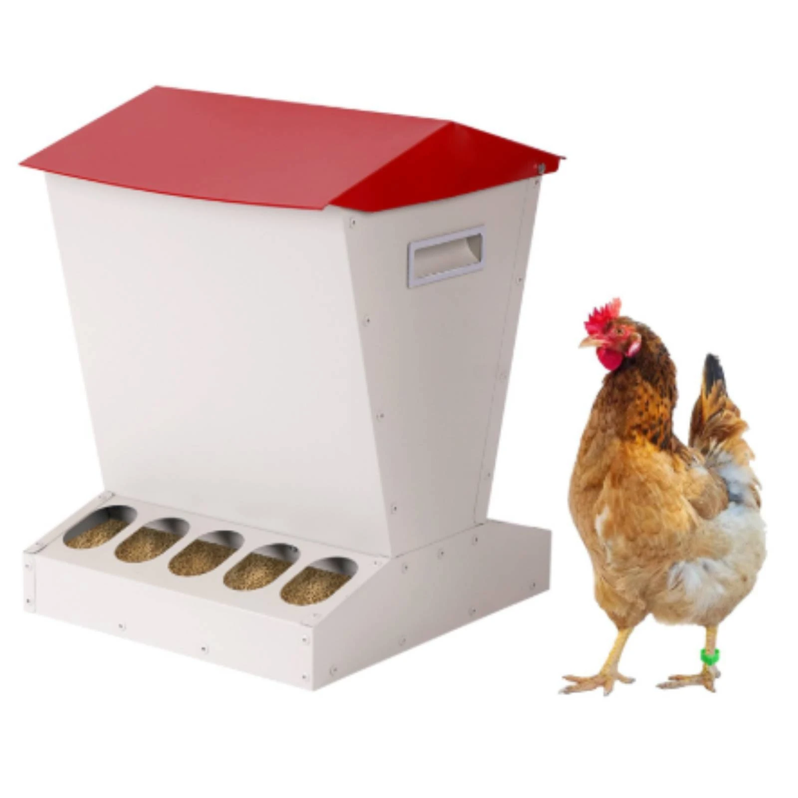 Feed Tray Low-Mess Galvanized Metal Chicken Feeder Covered Hopper Poultry Feeder Dust Proof for Backyard Flock Owners