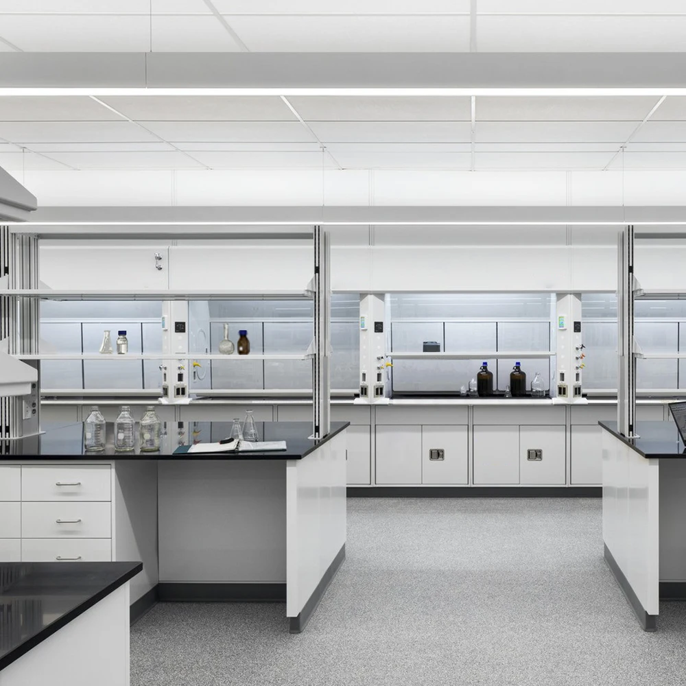 Custom Modern Science Biologic Labs Furniture Equipment Demonstration Tables Student Laboratory Benches