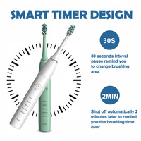 Sonic Electric Toothbrush Teeth Clean for Adults Ultrasonic USB Charging Automatic Whitening IPX7 Waterproof with Brush Heads