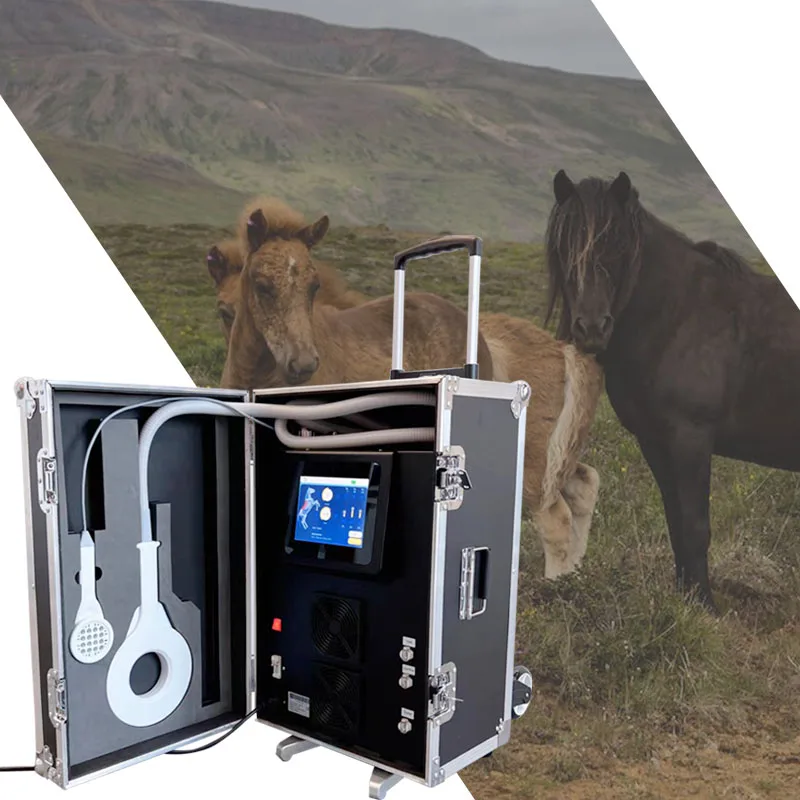 

PEMF Therapy Physio Magneto Physiotherapy Machine PMST Device With 4 Tesla Energy For Animals Pain Relief