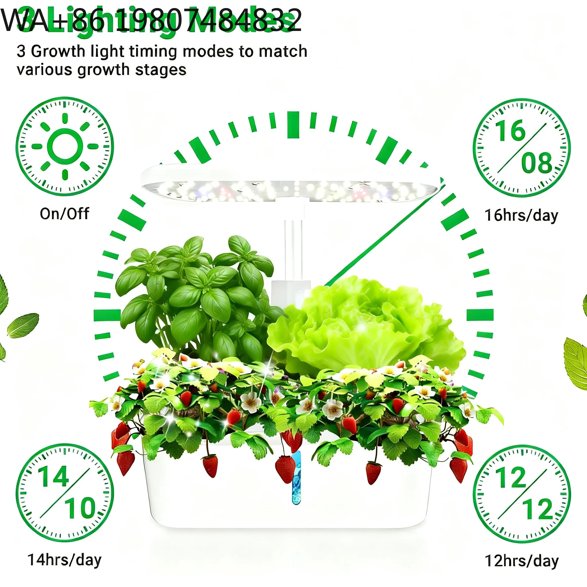 Hydroponic Grow Pod - 12 Bölmeli Topraksız Yetiştirme Seti Ayarlanabilir