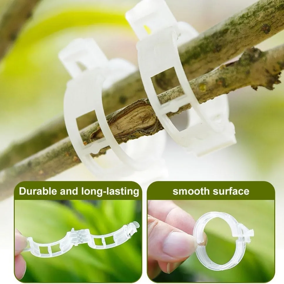 50/30PC Plant Clips Supports Reusable Plastic Connects Fixing Vine Tomato Stem Grafting Vegetable Plants Orchard and Garden Tool