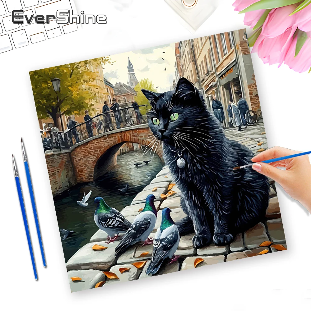 EverShine Bilder nach Zahlen, Tiermotiv, Katze, bunte Taube, Leinwand, handgemaltes Gemälde, Hauskunst, Figurenzeichnung, Dekor für Zuhause