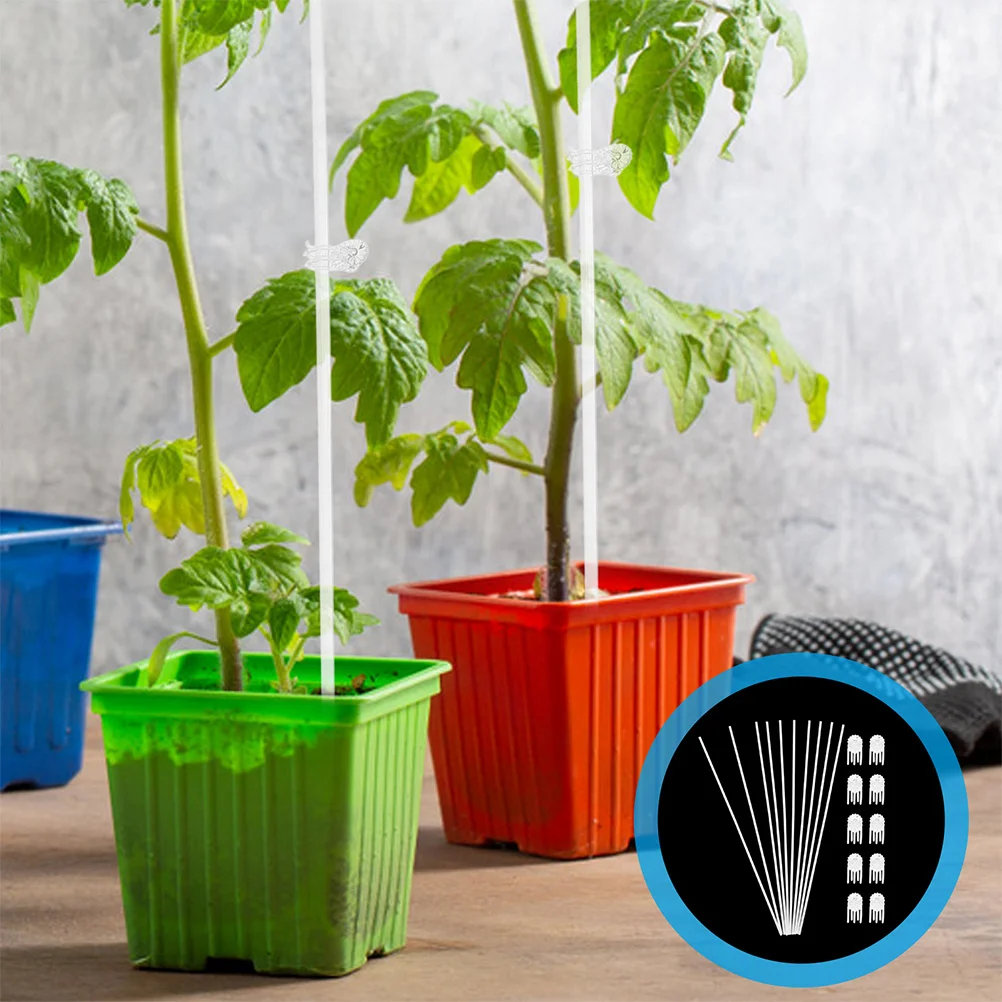 

1 Set Of Acrylic Plant Support Sticks Transparent Tall For Potted Plants Indoor Outdoor Garden Climbing Stem Fixation Orchid