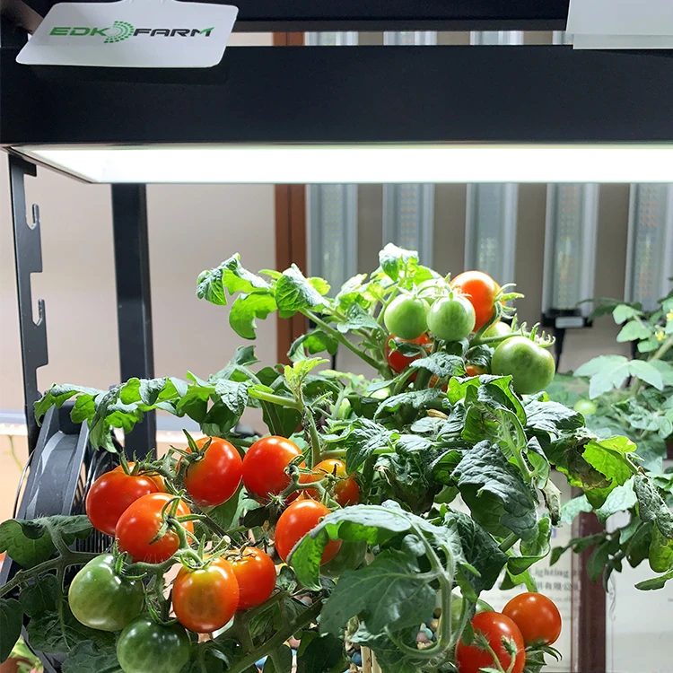 High Quality Gardening Indoors 4 Foot Full Spectrum 6400k Plant Grow LED  Light System with Stand