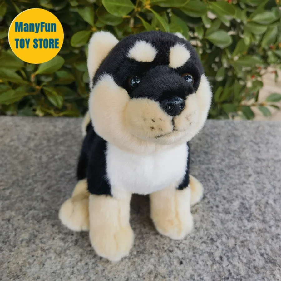 Peluche de Shiba Inu Negro, Animal Realista, Perro Akita Japonés, Juguete de Peluche, Muñeco de Simulación Kuro Shiba, Regalo