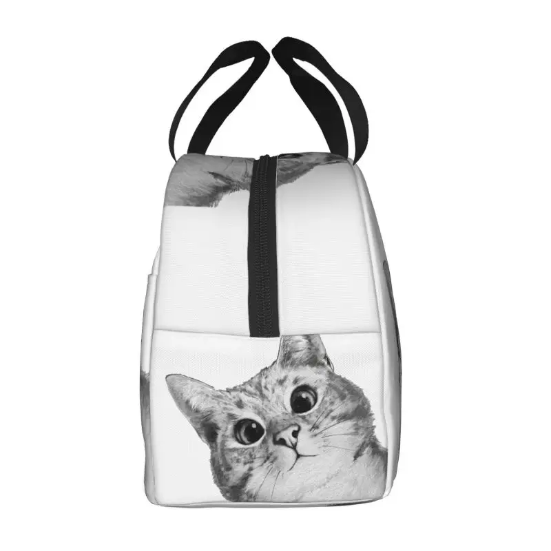 Custom Funny Cat Lunch Bag Men Women Cooler Warm Insulated Lunch Container Box for Kids School Work Food Picnic Tote Bags