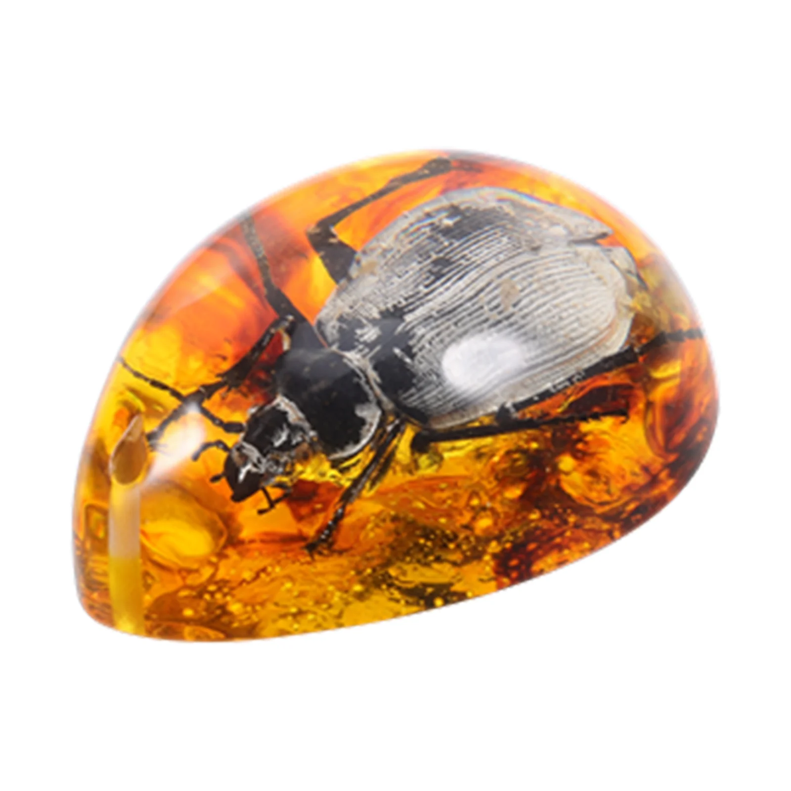 Amber Beeswax Specimen Spider Resin Charms Shaped Craft Insect Crafts Pendants Decorations